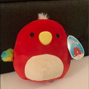 Paco the Parrot Squishmallow
